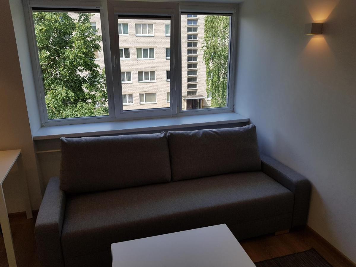 Anyksciai Cozy Studio Luaran gambar